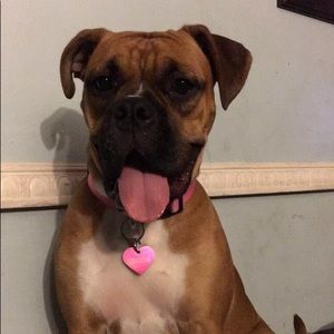 Meet your Posher, Melissa